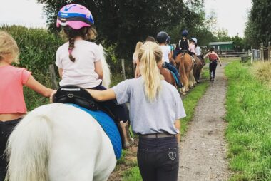 Lidmaatschap en verzekering